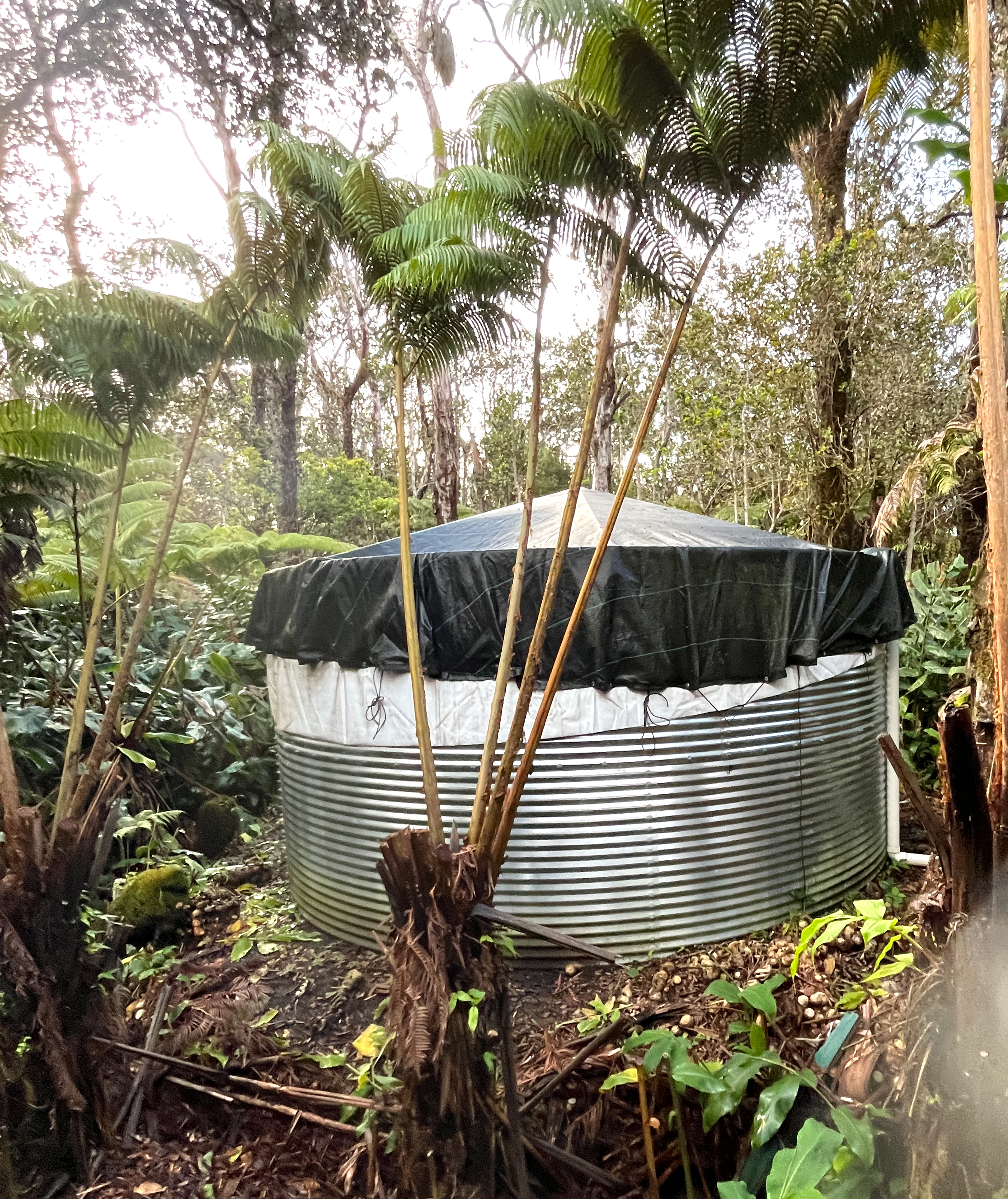 11-3872 9th Street Volcano, HI 96785 - Photo 23 of 24