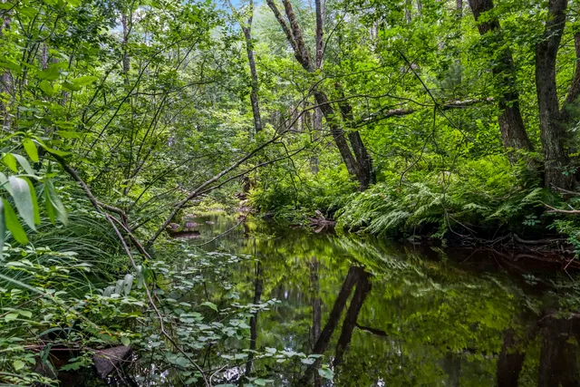 $239,000 | Lot 1 Kennebrook Lane, Lyman, ME 04002