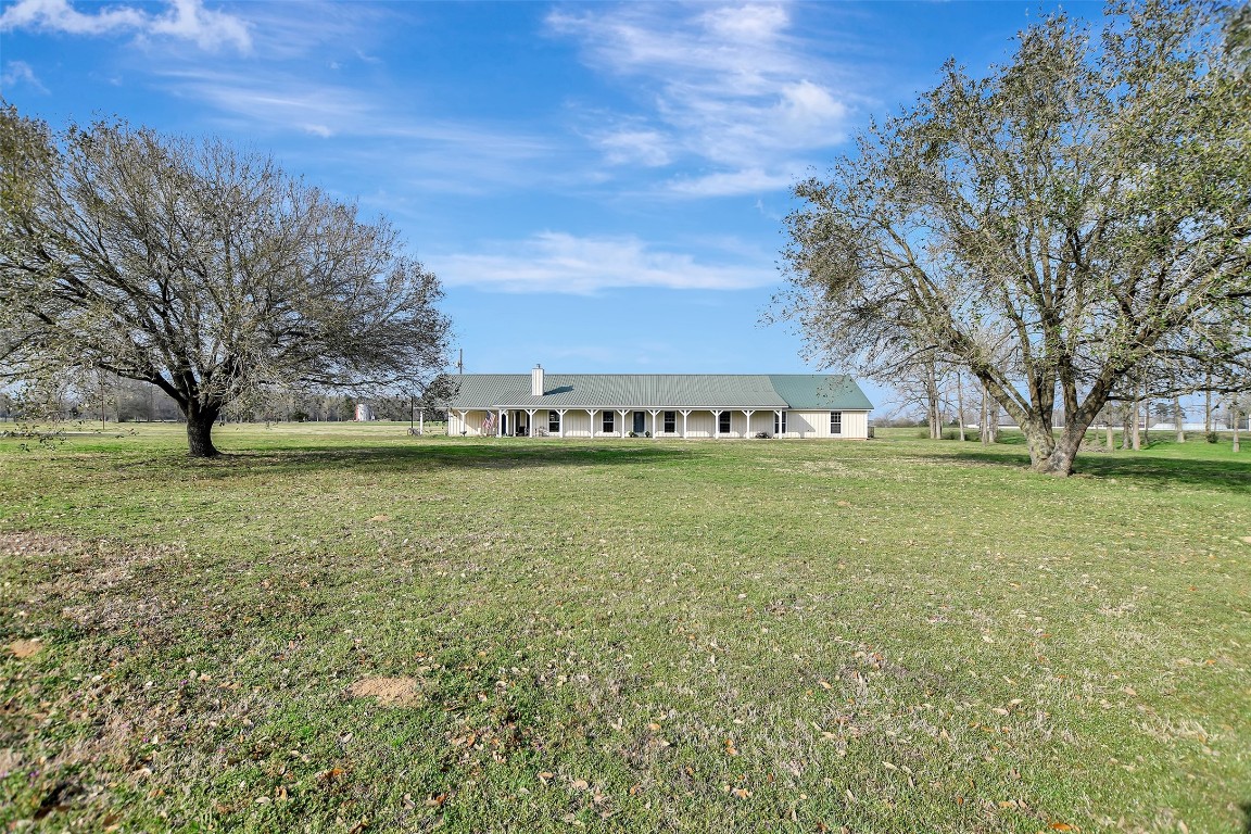 a view of a field with tree s