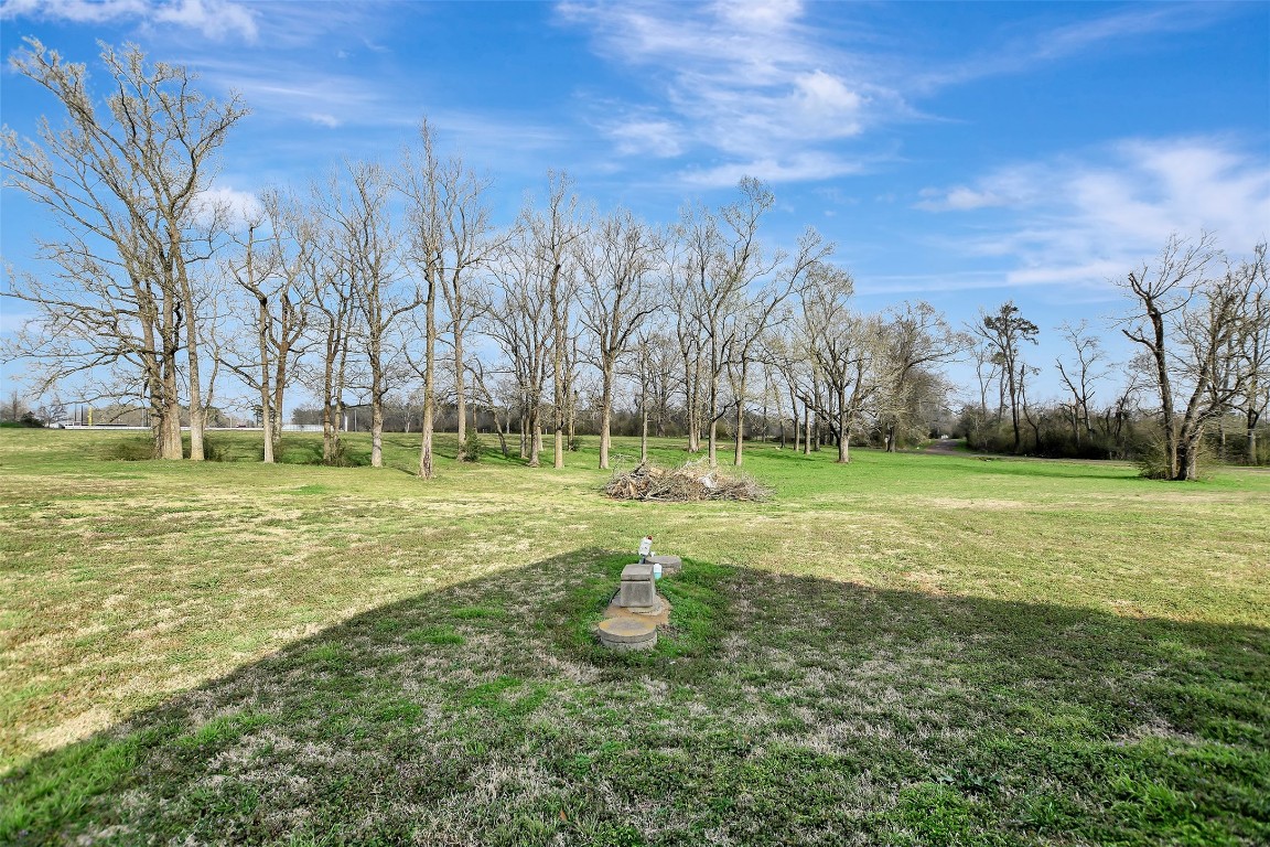 599 County Road 295 Garrison, TX 75946 - Photo 41 of 50 a view of a park with large trees