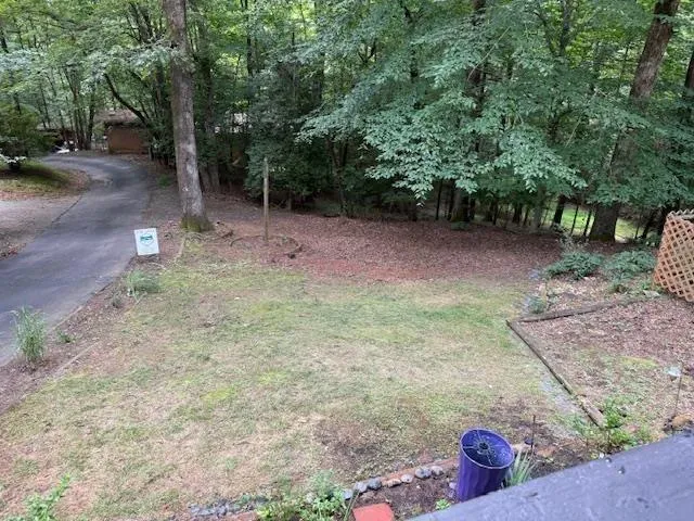 a view of a backyard with trees