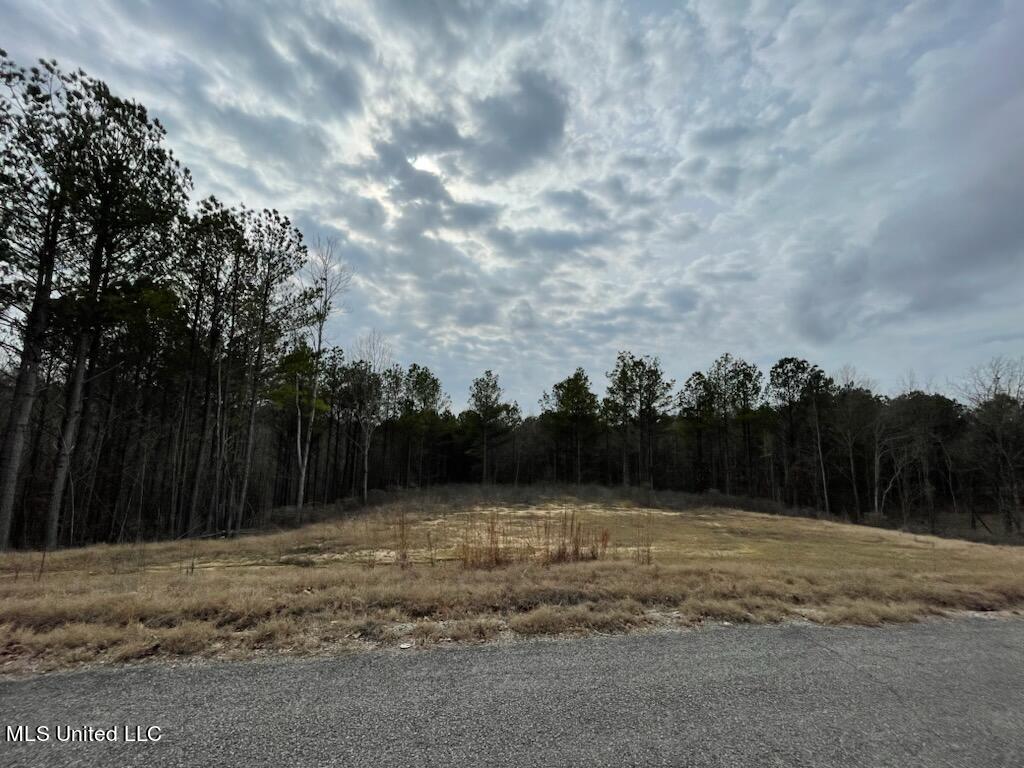 0 Sandy Branch Road Sarah, MS 38665 - Photo 1 of 2 IMG_5046