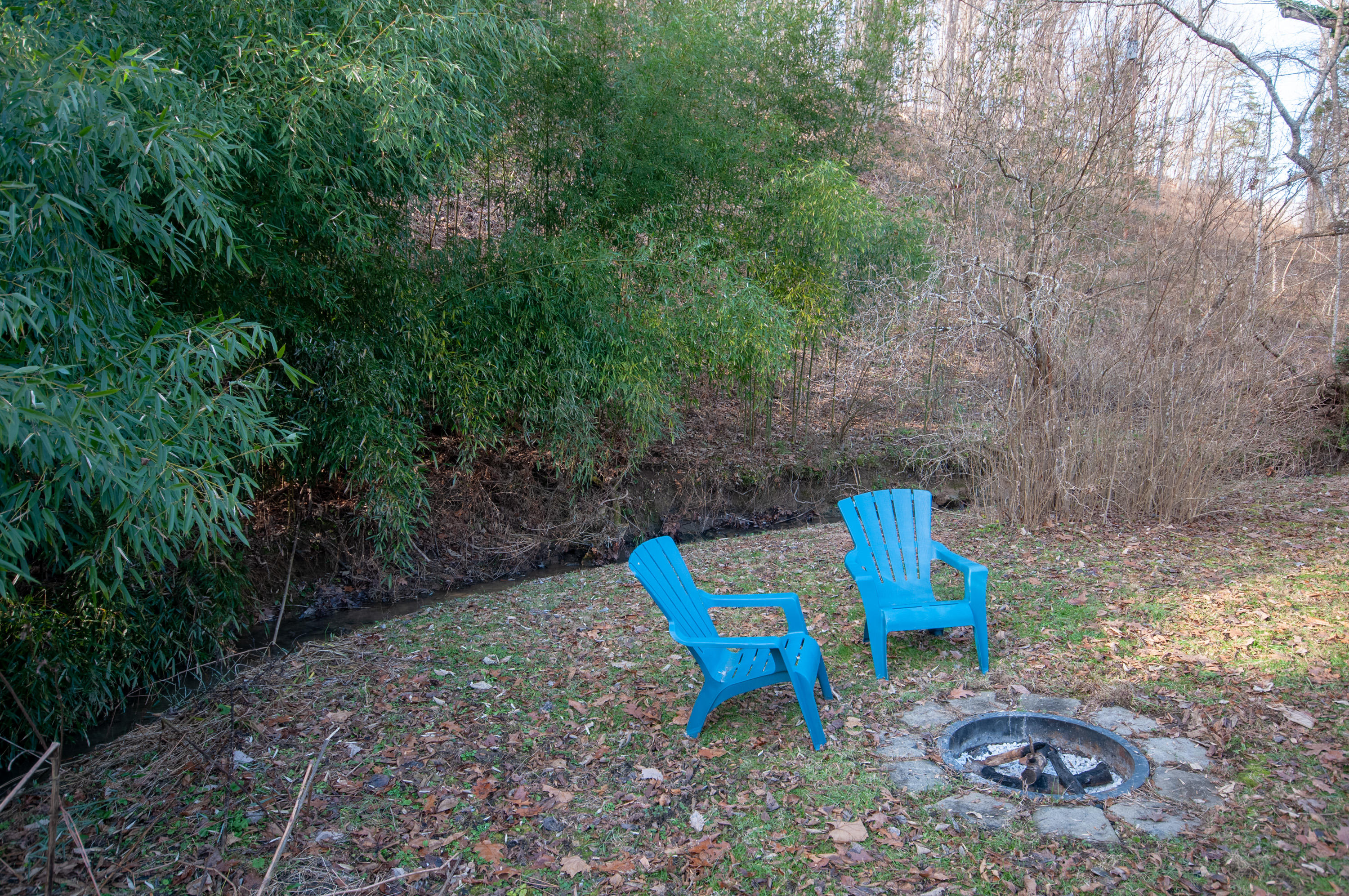 2139 Buffalo Road Buchanan, VA 24066 - Photo 5 of 38 _DSC5525-HDR