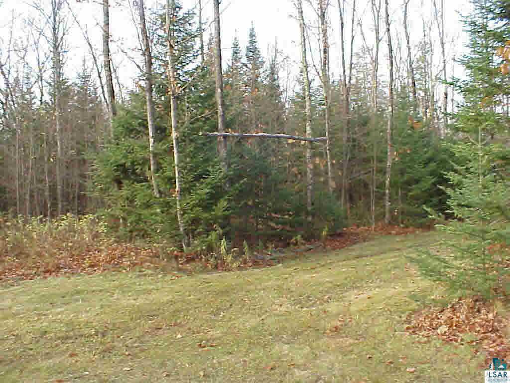 4616 Sutherland Road Summit, WI 54880 - Photo 3 of 12
