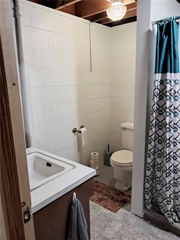 119 Walnut Street Apollo, PA 15613 - Photo 20 of 26 a bathroom with a sink a toilet and shower