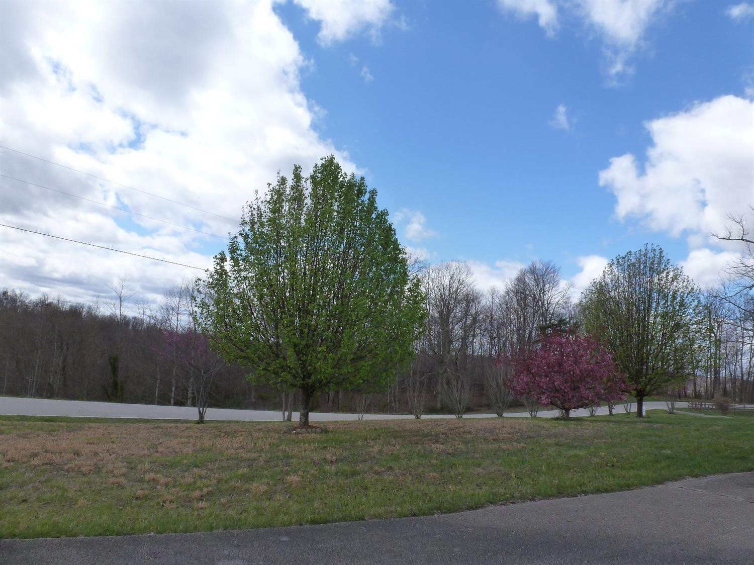 3821 Amos Ridge Road Frenchburg, KY 40322 - Photo 26 of 88 Photo 26