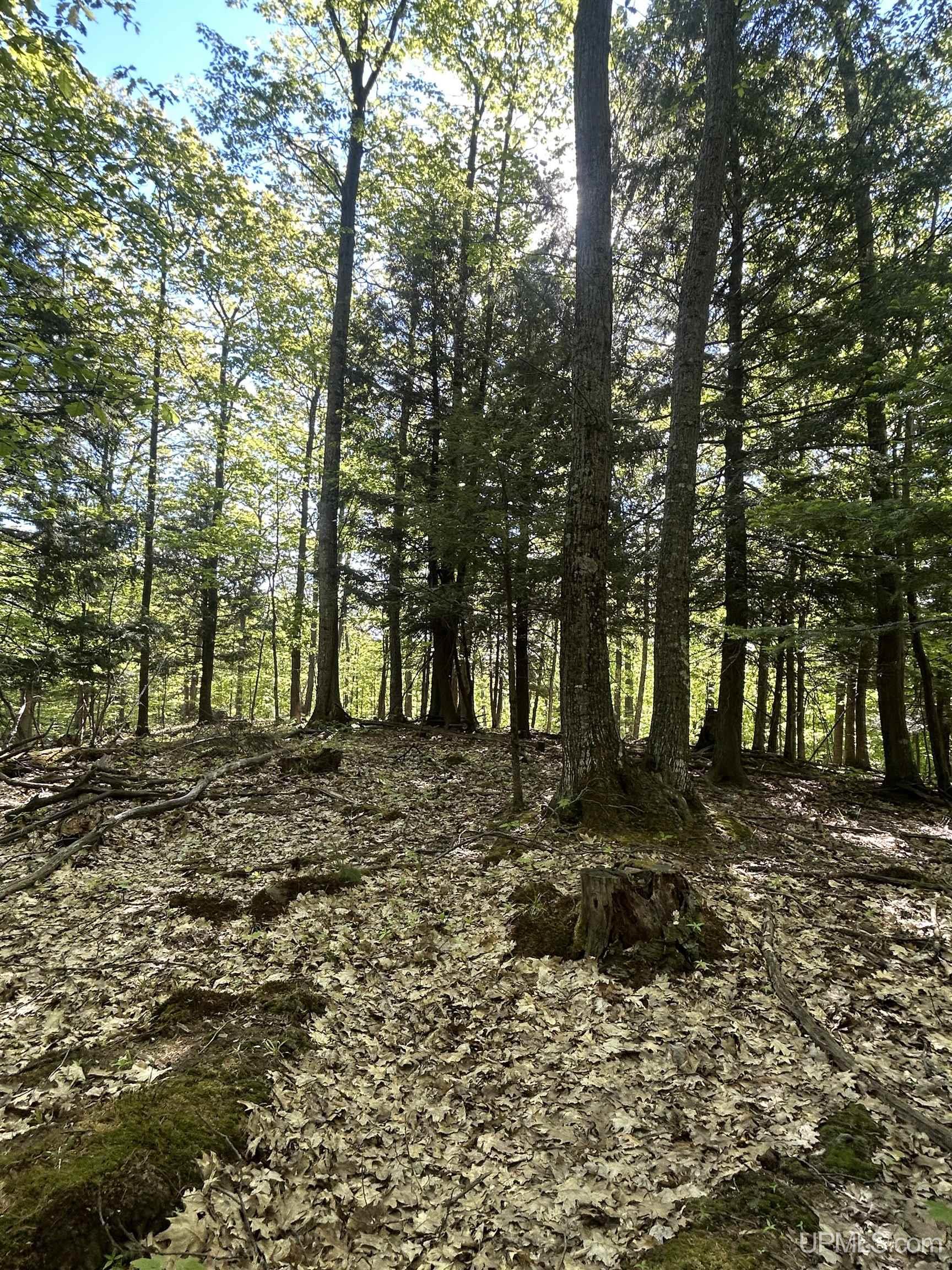 Tbd McClure Dm Road Negaunee, MI 49866 - Photo 7 of 16