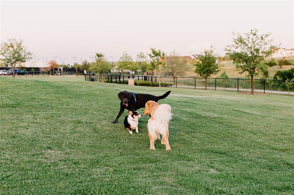 13617 Green Elm Road Fort Worth, TX 76008 - Photo 32 of 40 Two on-site dog parks