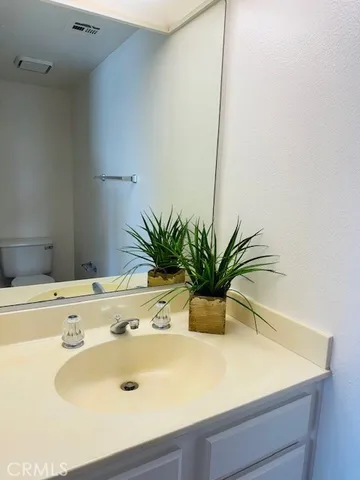 a bathroom with a sink a mirror and a potted plant