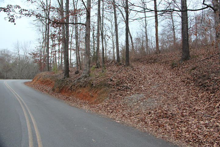 10 Roberts Road Kodak, TN 37764 - Photo 2 of 6 IMG_6155