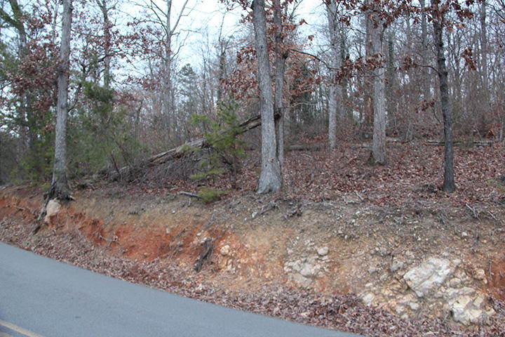10 Roberts Road Kodak, TN 37764 - Photo 3 of 6 IMG_6156