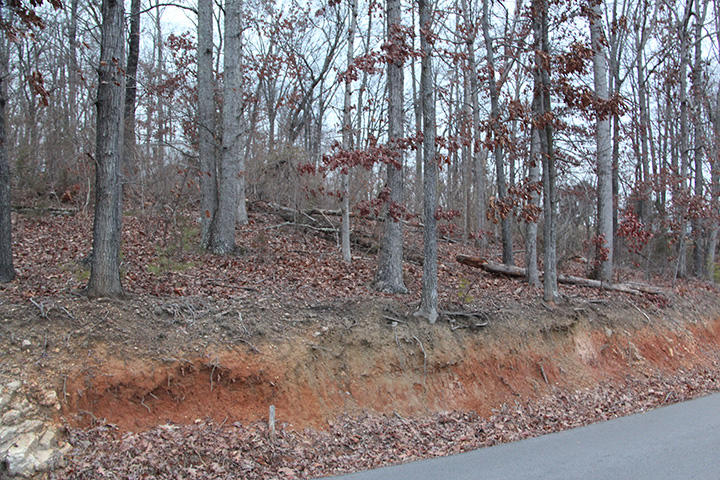10 Roberts Road Kodak, TN 37764 - Photo 4 of 6 IMG_6157