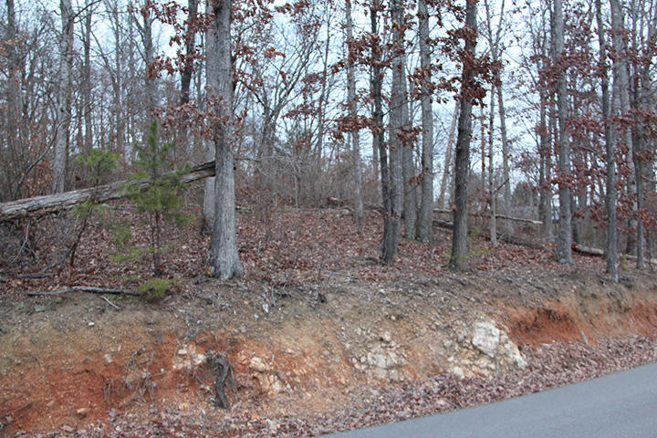 10 Roberts Road Kodak, TN 37764 - Photo 5 of 6 IMG_6158