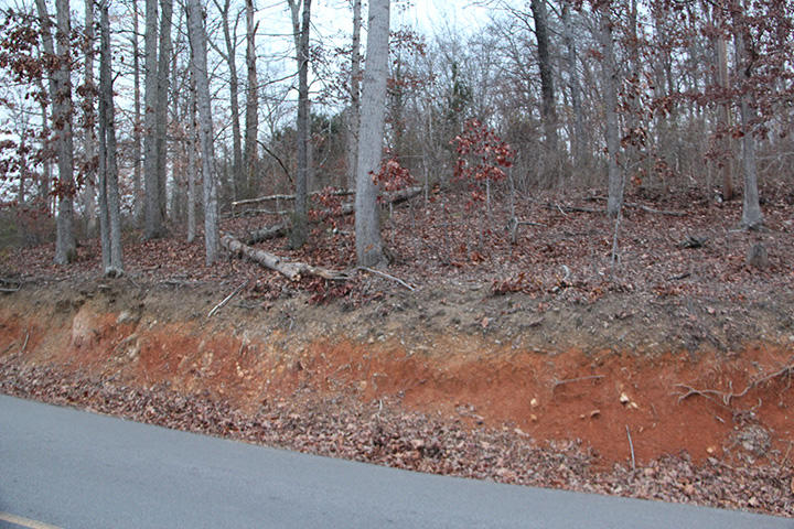 10 Roberts Road Kodak, TN 37764 - Photo 6 of 6 IMG_6159