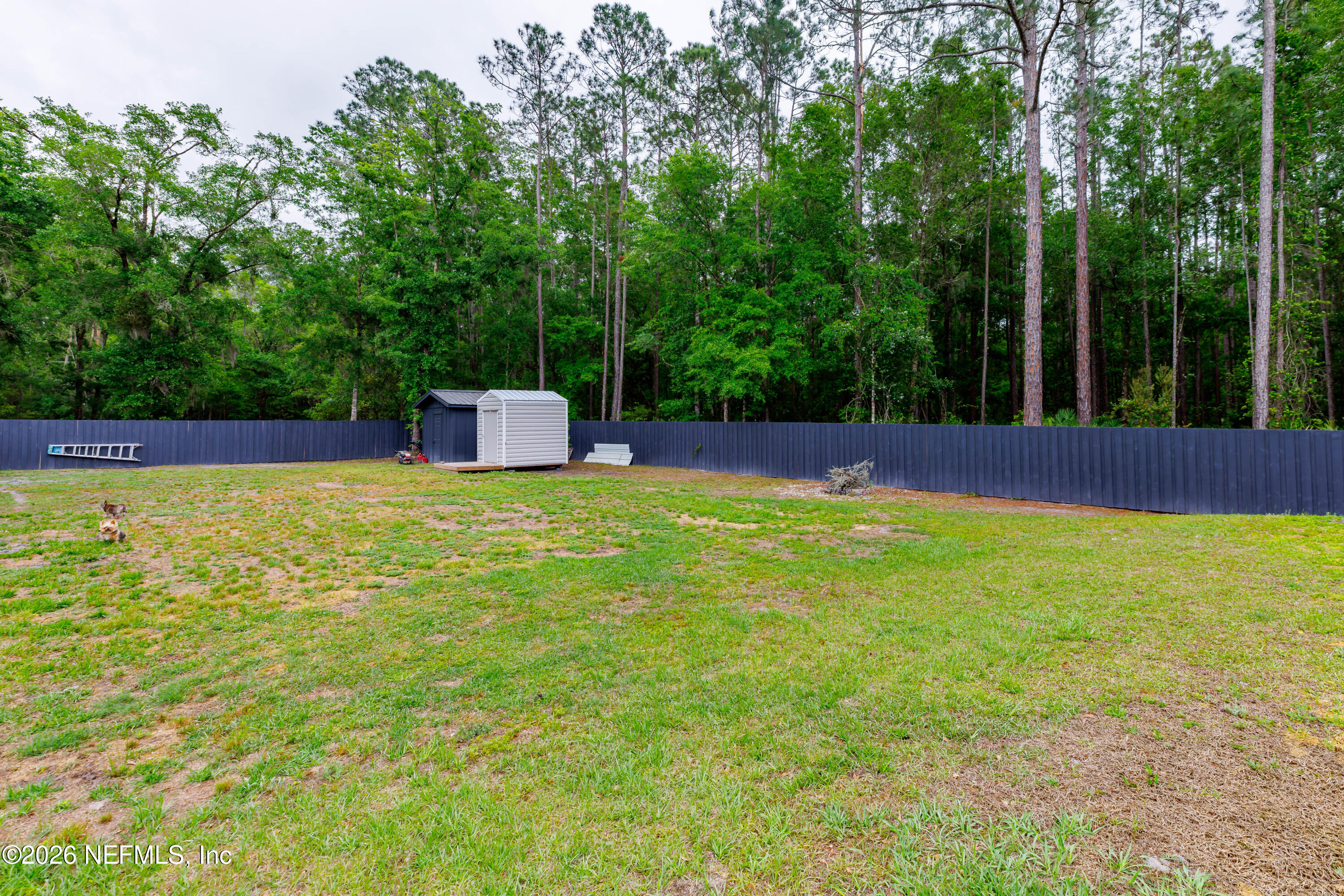 6226 Southwest 150th Street Starke, FL 32091 - Photo 41 of 53 Back Yard