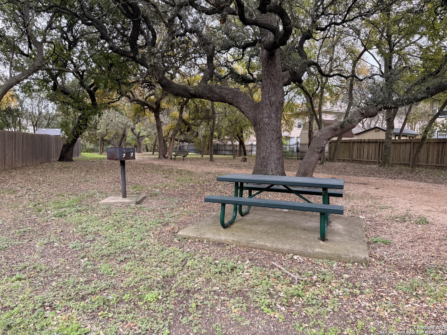 937 Forest Ridge Parkway Schertz, TX 78154 - Photo 32 of 38
