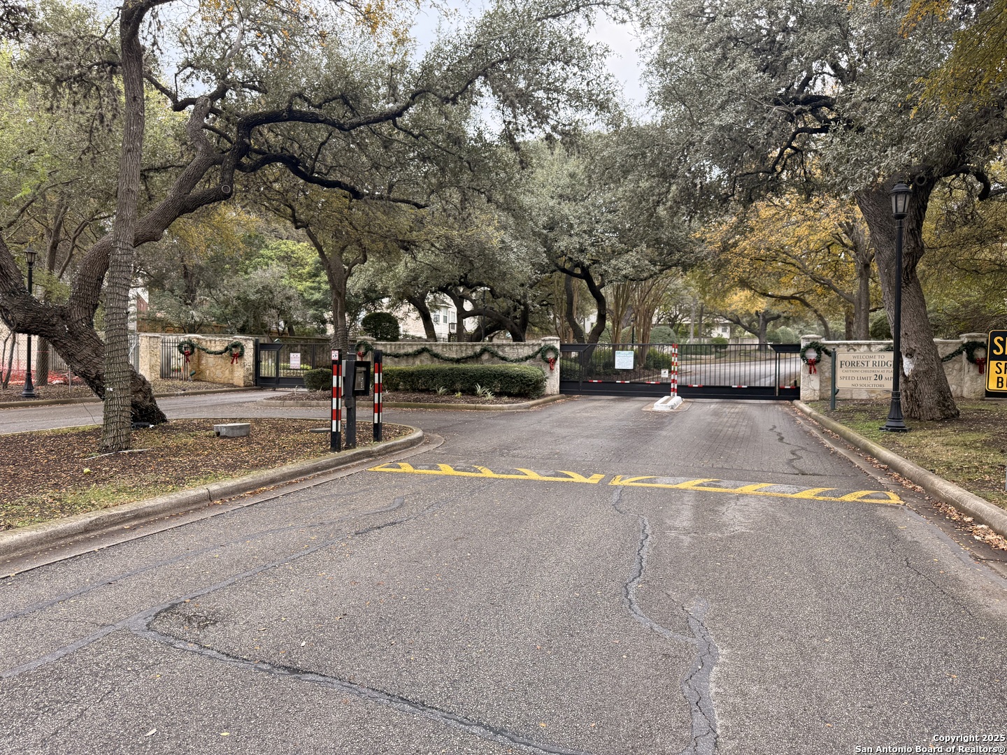937 Forest Ridge Parkway Schertz, TX 78154 - Photo 34 of 38