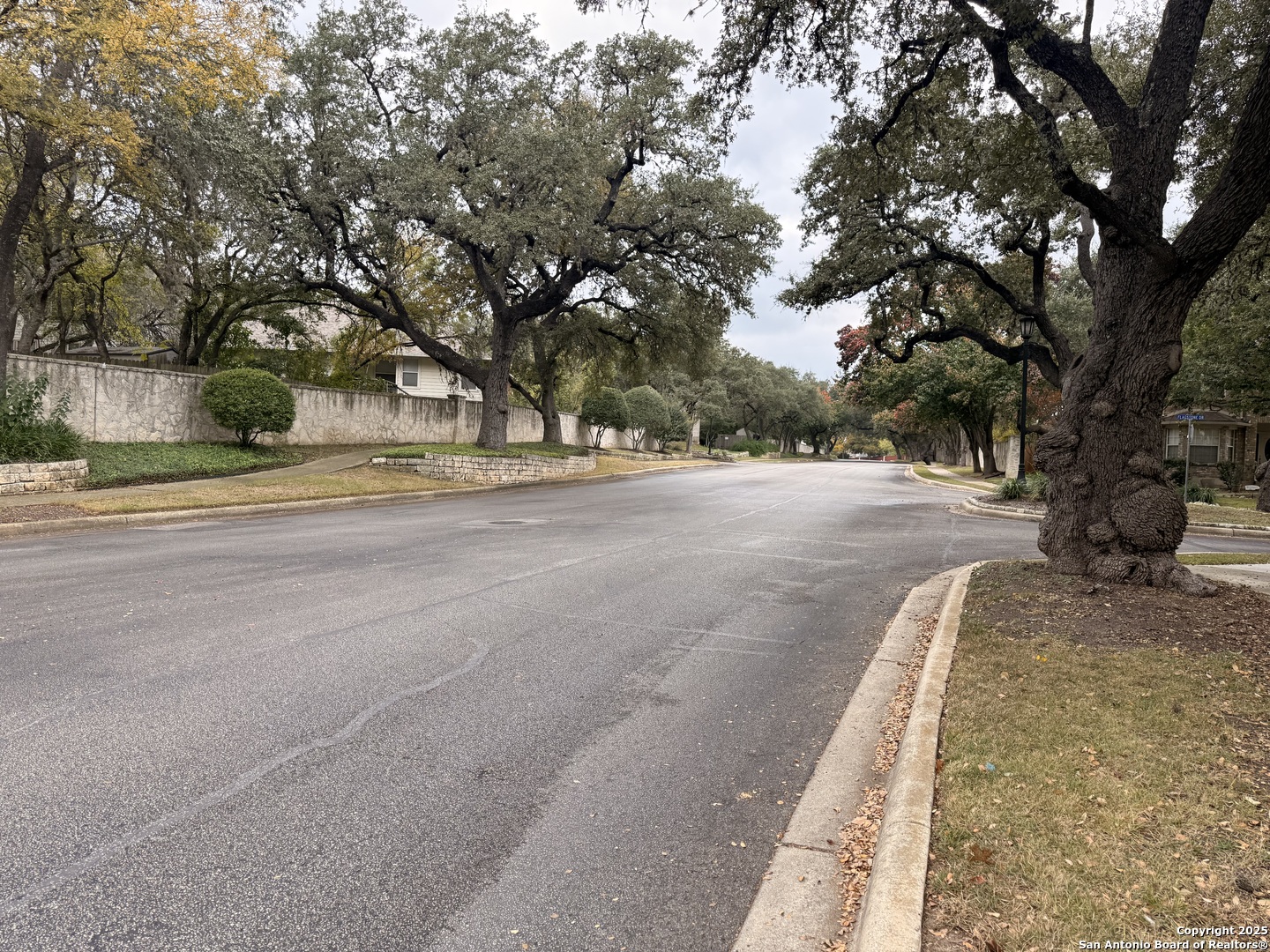 937 Forest Ridge Parkway Schertz, TX 78154 - Photo 37 of 38