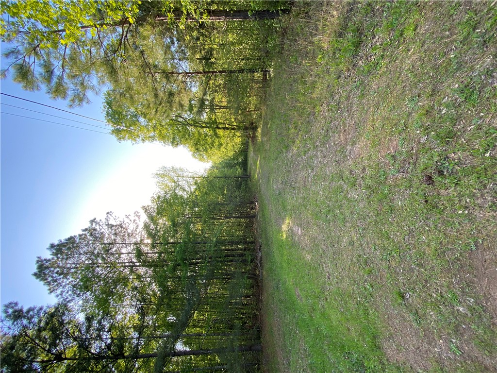 884 Martin Road Starr, SC 29684 - Photo 2 of 5