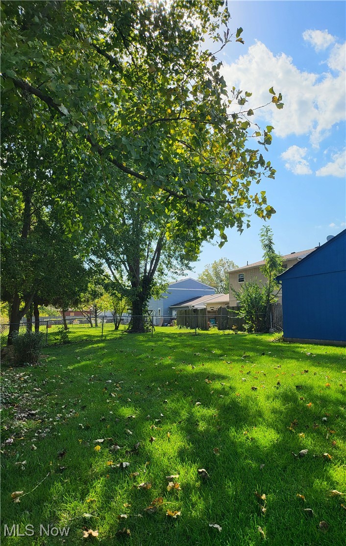 631 Root Road Lorain, OH 44052 - Photo 23 of 24 View of yard