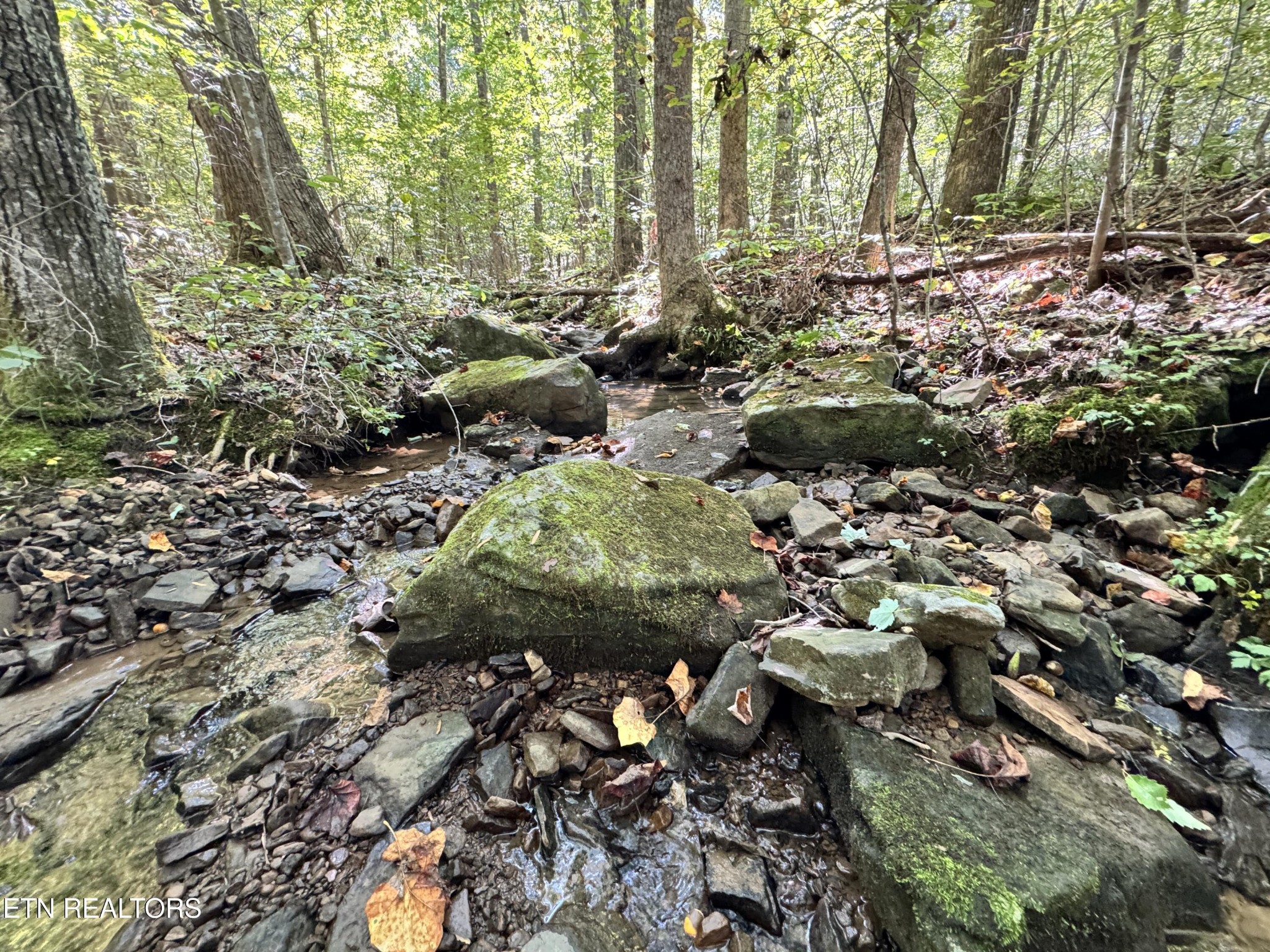 3773 Glade Creek Road Sparta, TN 38583 - Photo 2 of 59