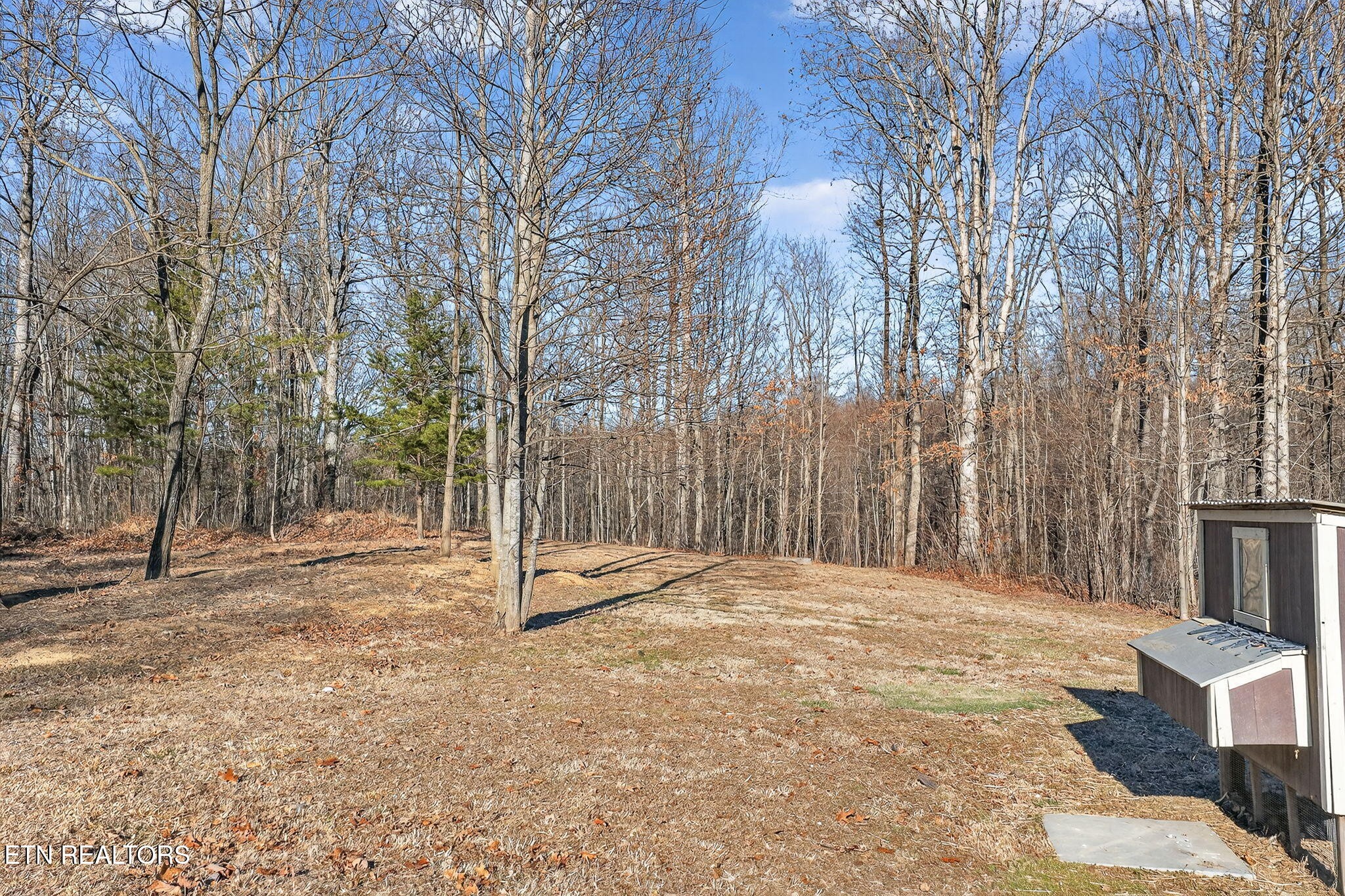 3773 Glade Creek Road Sparta, TN 38583 - Photo 38 of 59 a backyard of a house with lots of green space