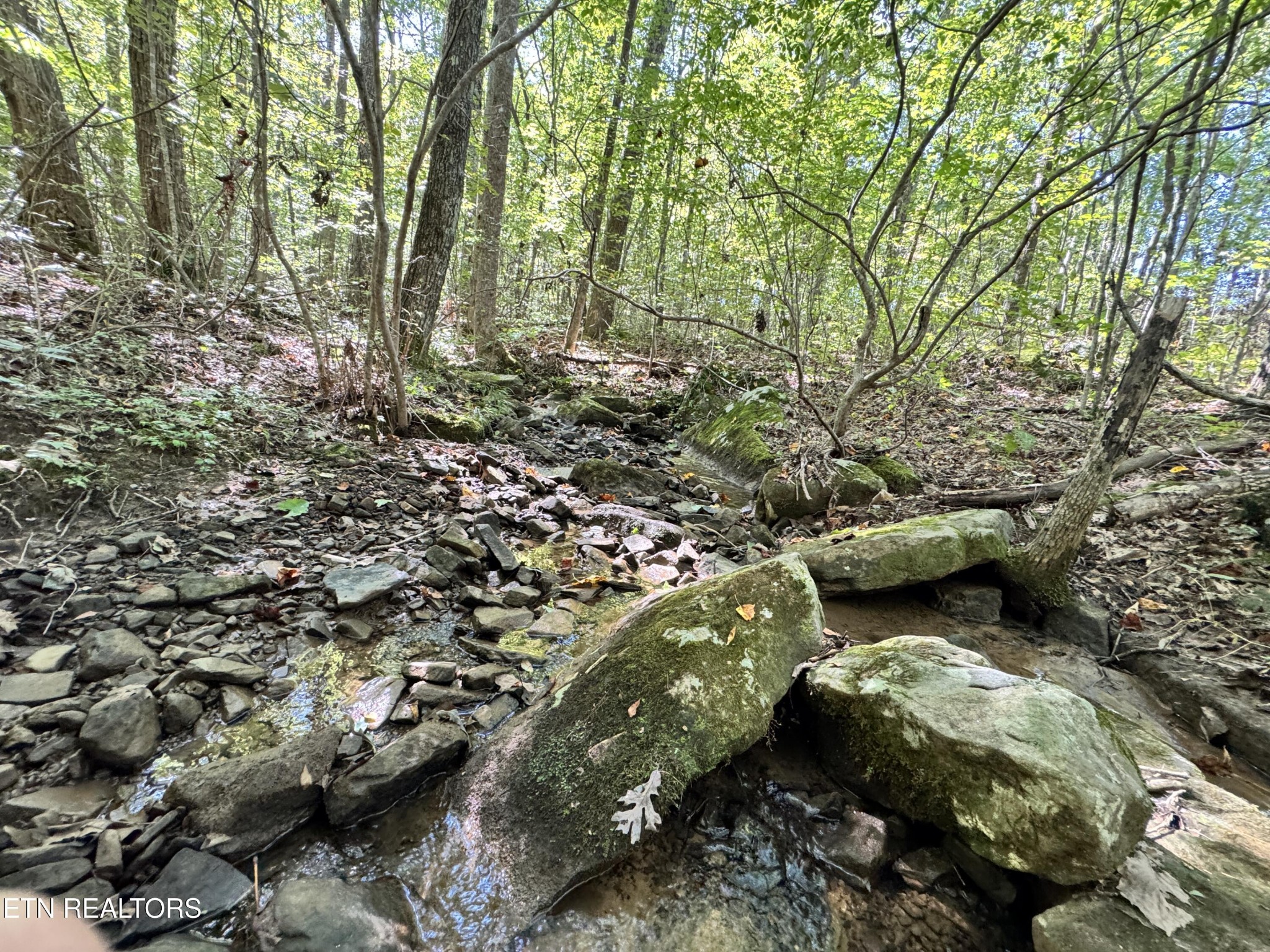 3773 Glade Creek Road Sparta, TN 38583 - Photo 58 of 59