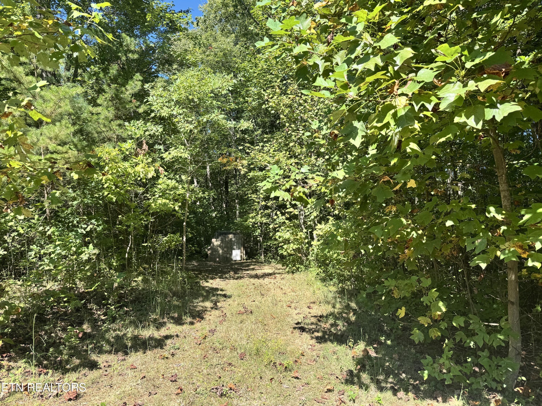 3773 Glade Creek Road Sparta, TN 38583 - Photo 59 of 59 a view of a tree in a yard