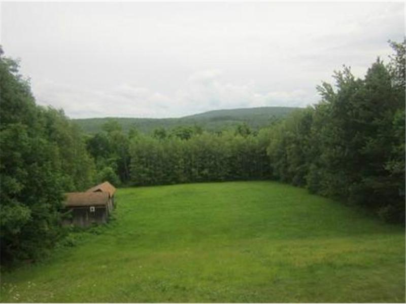 269 North Chester Road Lincoln, ME 04457 - Photo 10 of 12 Yard/Garden.