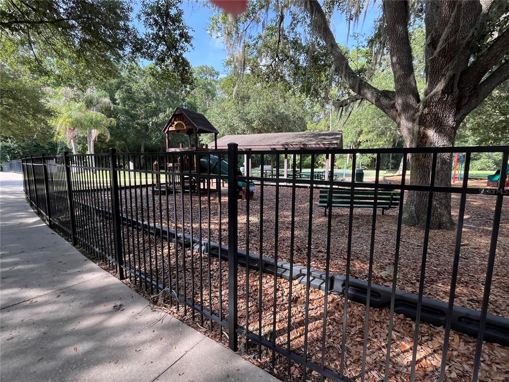 4038 Lithia Ridge Boulevard Valrico, FL 33596 - Photo 41 of 47
