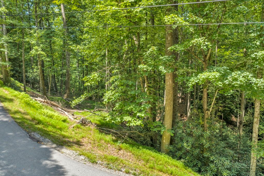 11-14 Powder Horn Mountain Road Deep Gap, NC 28618 - Photo 25 of 38