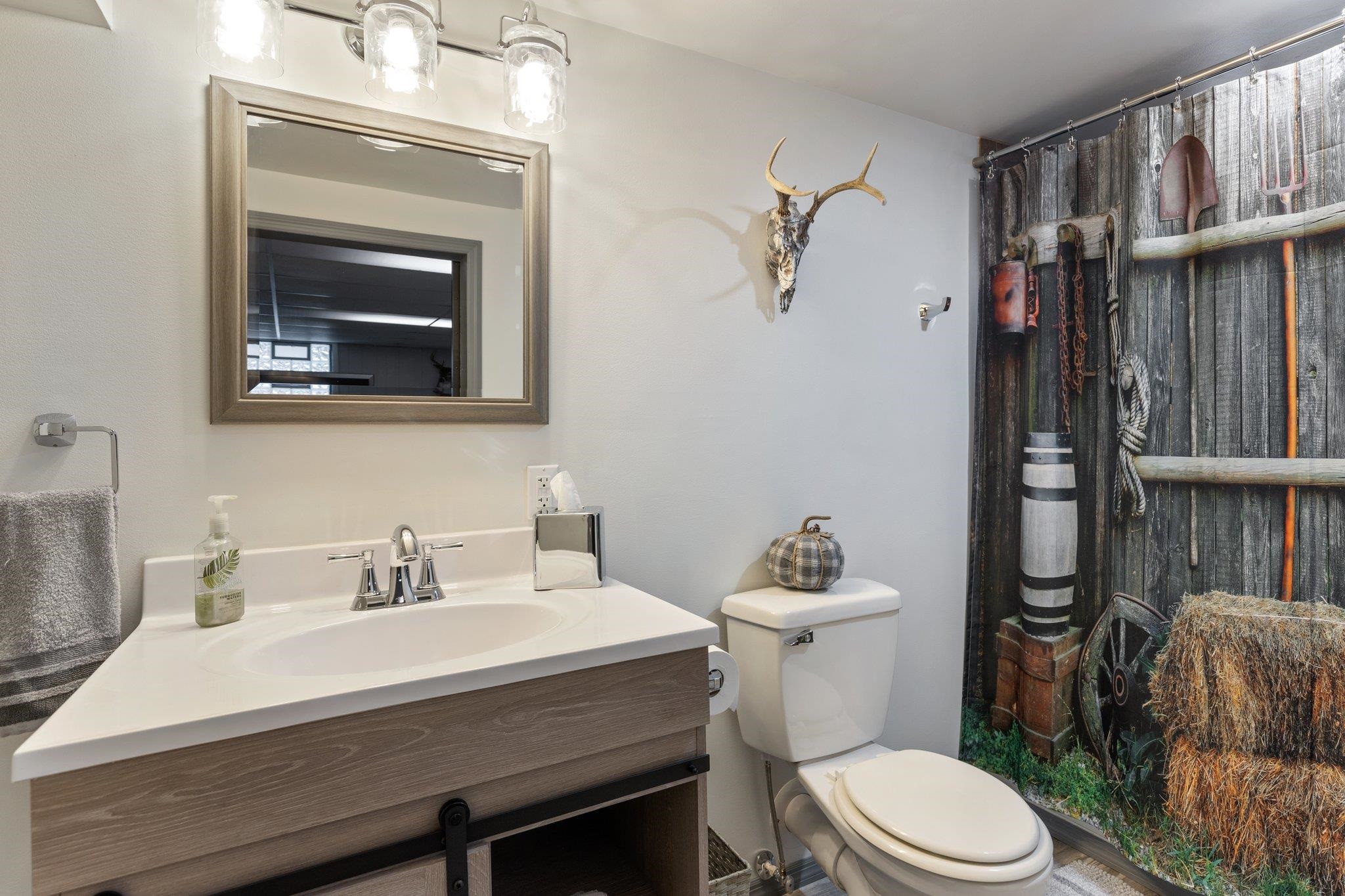 1014 East Van Buren Road Alma, MI 48801 - Photo 40 of 60 1896118-39.JPG