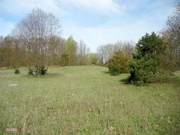 14316 4 Mile Road Northeast Belding, MI 48809 - Photo 4 of 5 Additional Photo