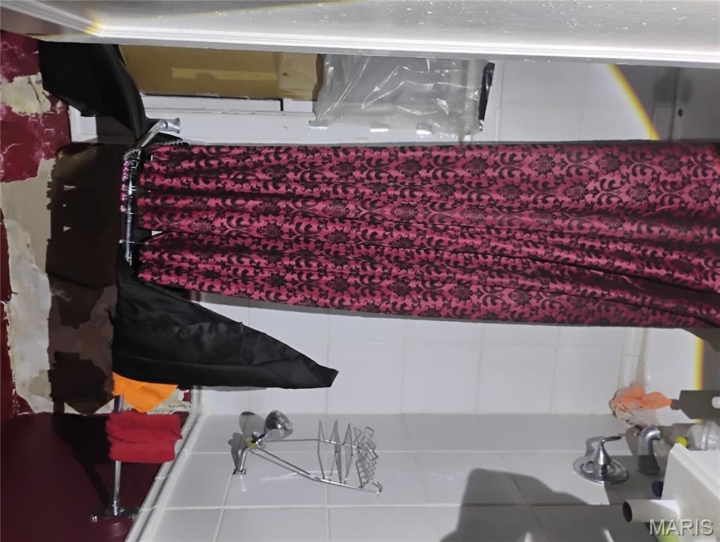 3901 Sherman Place St. Louis, MO 63107 - Photo 8 of 20