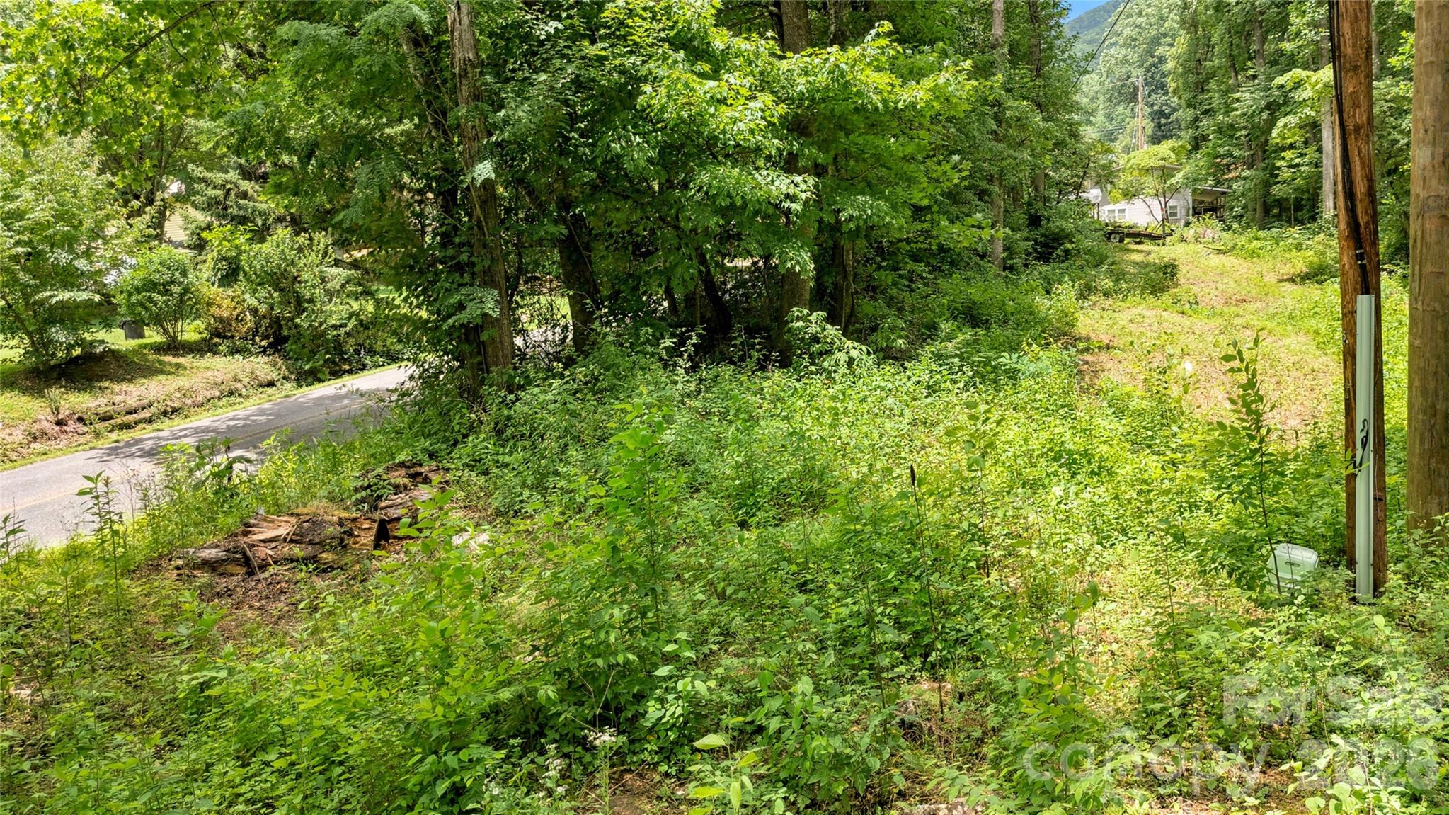 0 Fisher Creek Road Sylva, NC 28779 - Photo 14 of 18