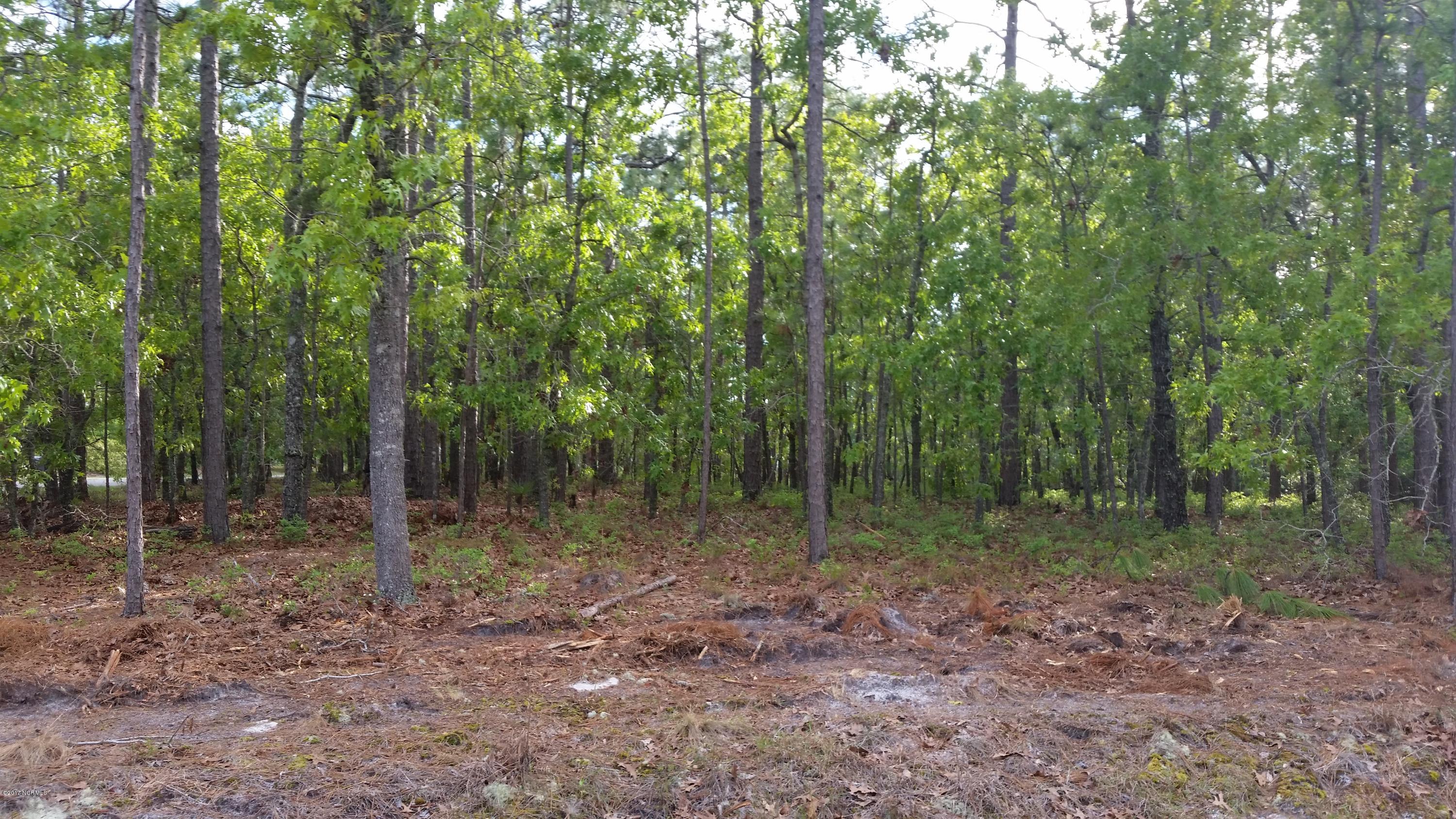 L-589 Spruce Road Southport, NC 28461 - Photo 1 of 6 Lot 589