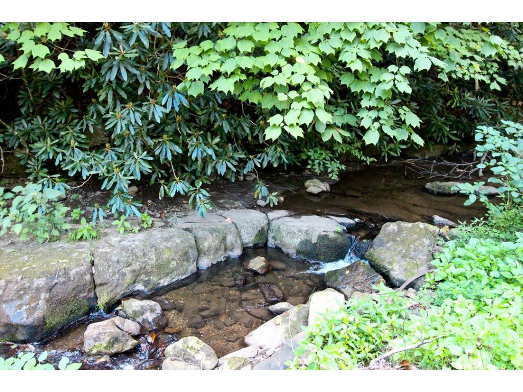 908 Carson Springs Road Newport, TN 37821 - Photo 17 of 24 Photo 17