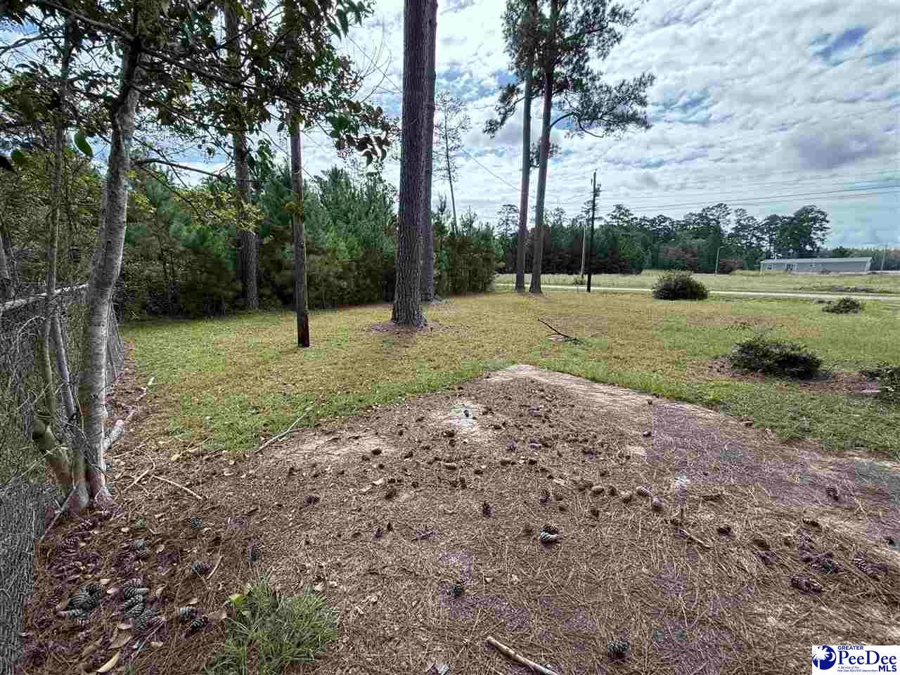 17 Ard Circle Hemingway, SC 29554 - Photo 7 of 16 Gallery Image 7