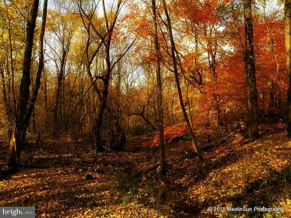 a view of outdoor space with trees