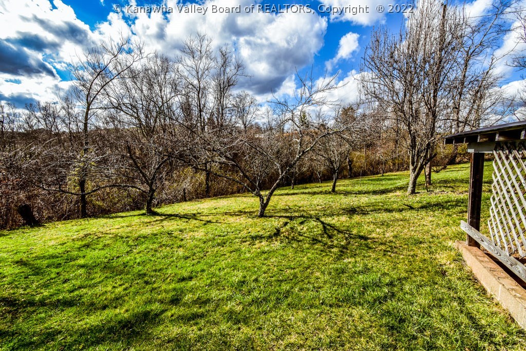 1125 Jones Ridge Road Gandeeville, WV 25243 - Photo 12 of 30 Gallery Image 12