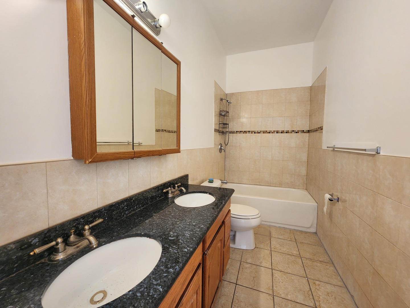 2713 South Crowell Street Chicago, IL 60608 - Photo 36 of 50 a bathroom with a granite countertop sink and a mirror