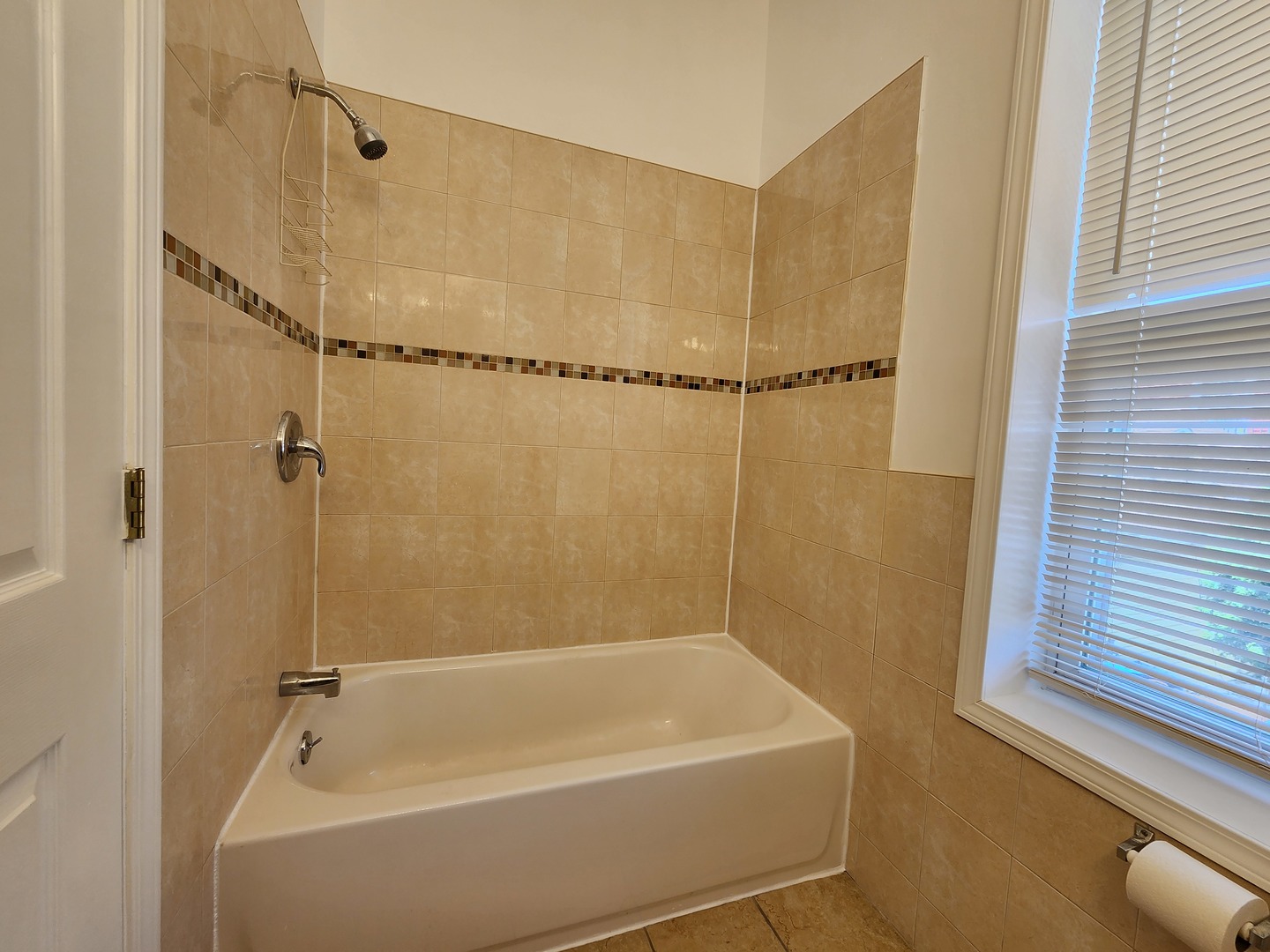 2713 South Crowell Street Chicago, IL 60608 - Photo 39 of 50 a bathroom with a shower and a bath tub
