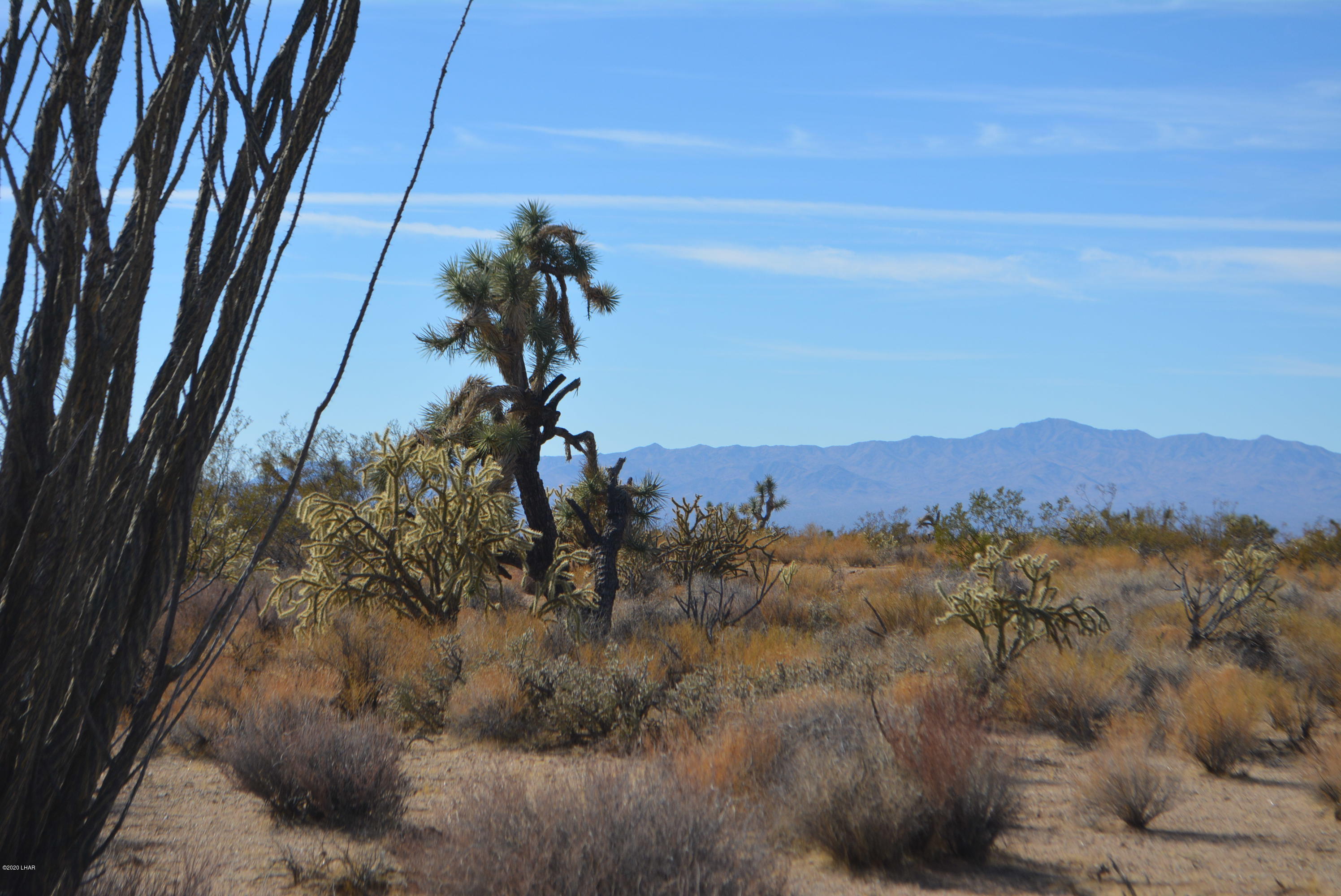 Lot 1026 Rimrock Road Yucca, AZ 86438 - Photo 14 of 35 DSC_0823
