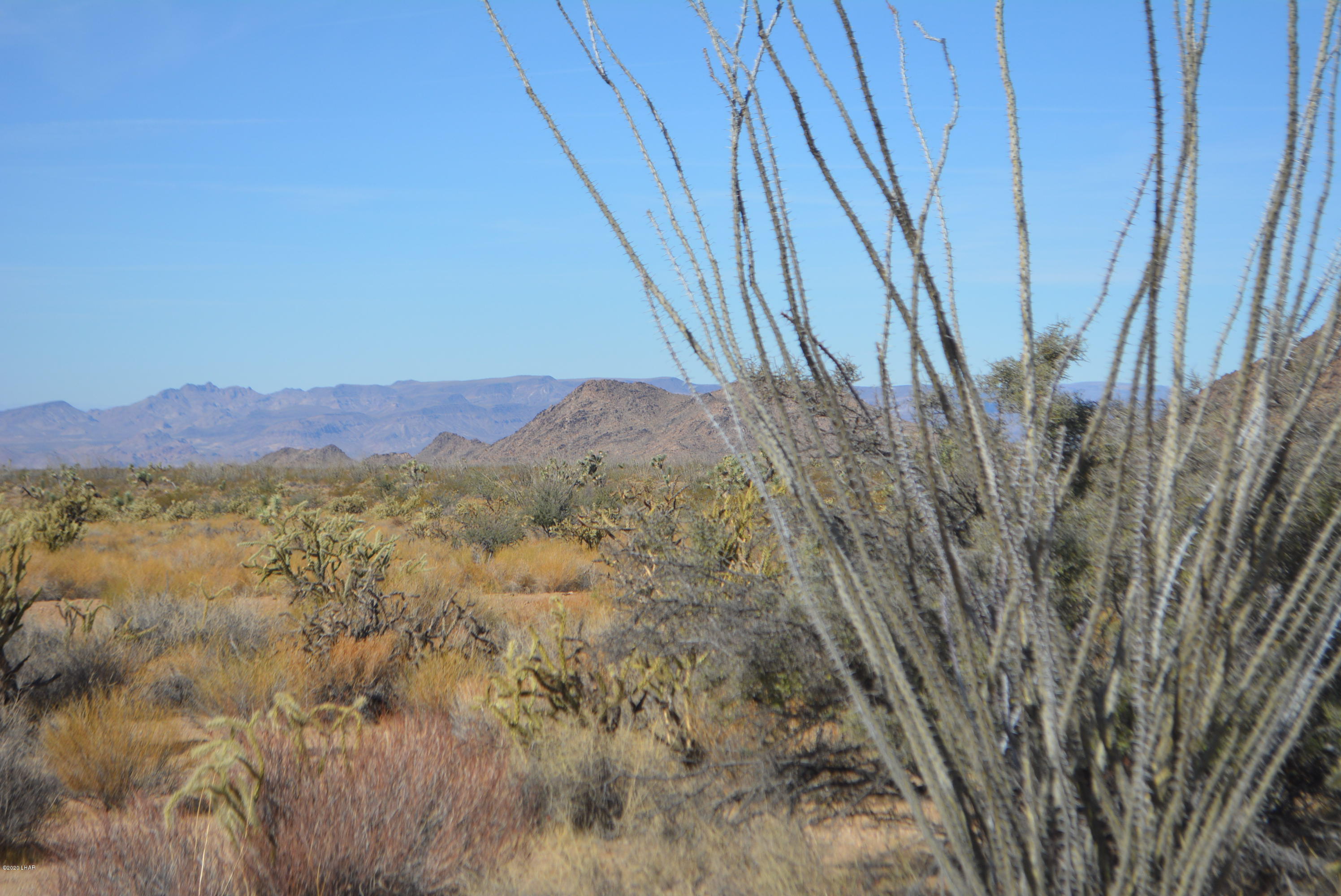 Lot 1026 Rimrock Road Yucca, AZ 86438 - Photo 19 of 35 DSC_0828