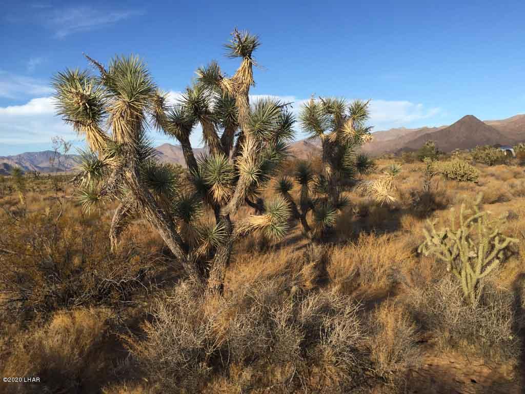 Lot 1026 Rimrock Road Yucca, AZ 86438 - Photo 24 of 35 IMG_1399