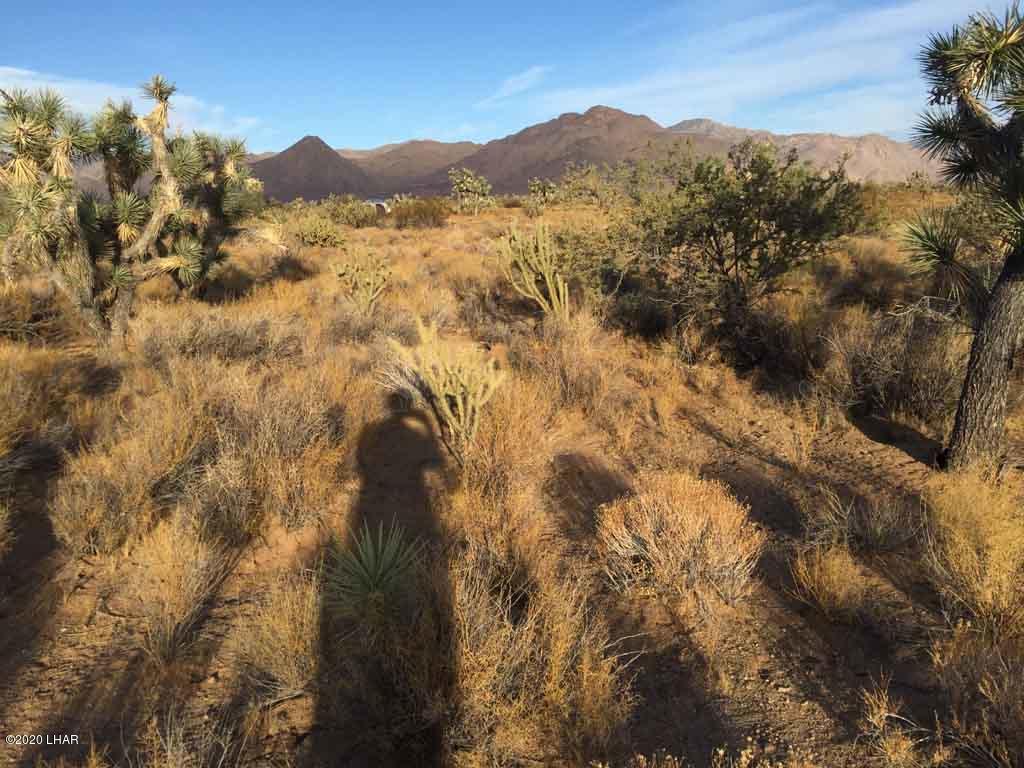 Lot 1026 Rimrock Road Yucca, AZ 86438 - Photo 25 of 35 IMG_1400