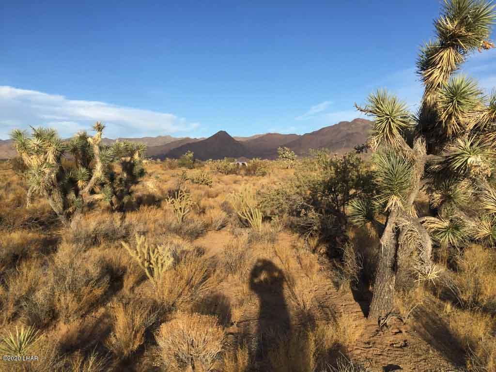 Lot 1026 Rimrock Road Yucca, AZ 86438 - Photo 26 of 35 IMG_1401