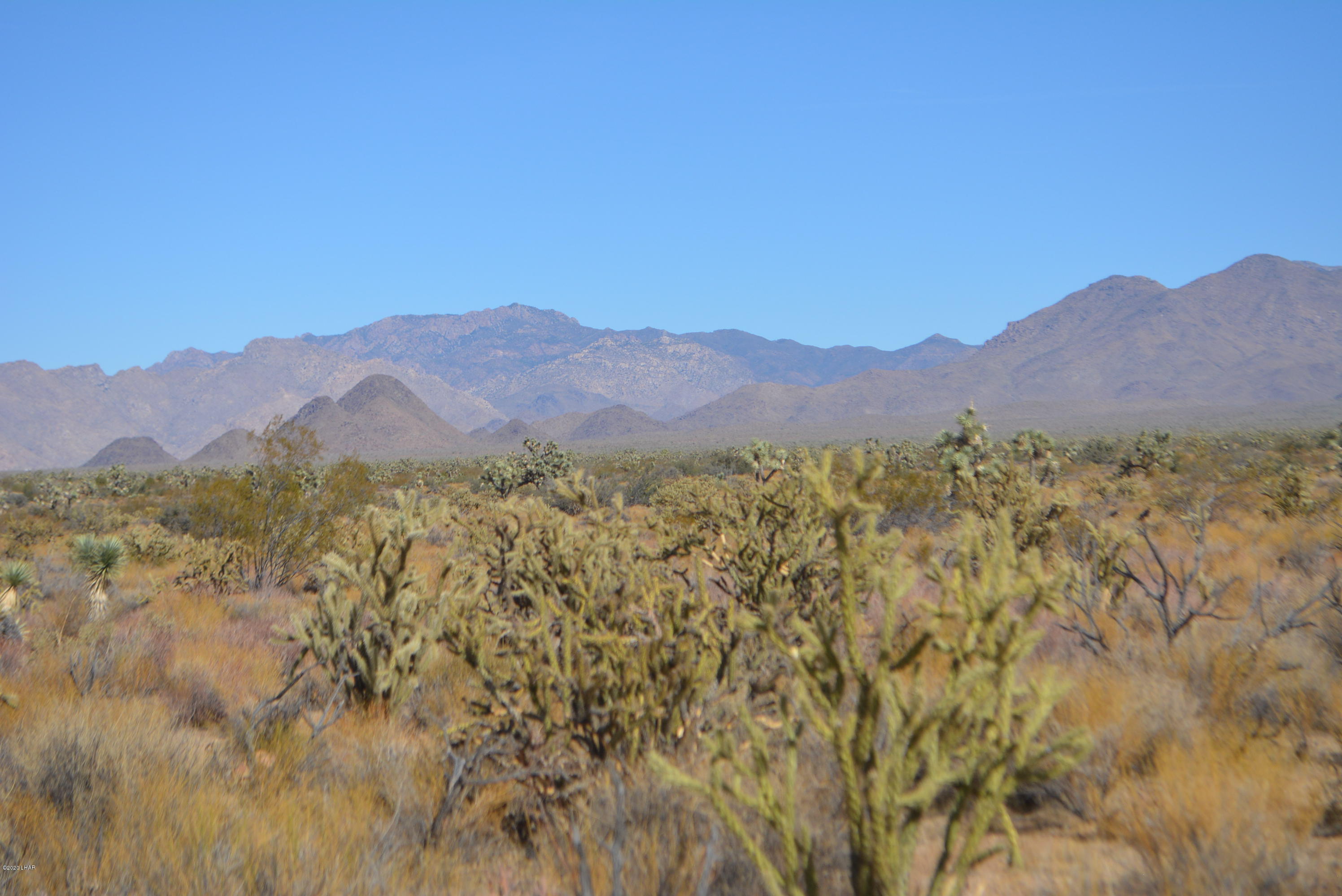 Lot 1026 Rimrock Road Yucca, AZ 86438 - Photo 3 of 35 DSC_0812