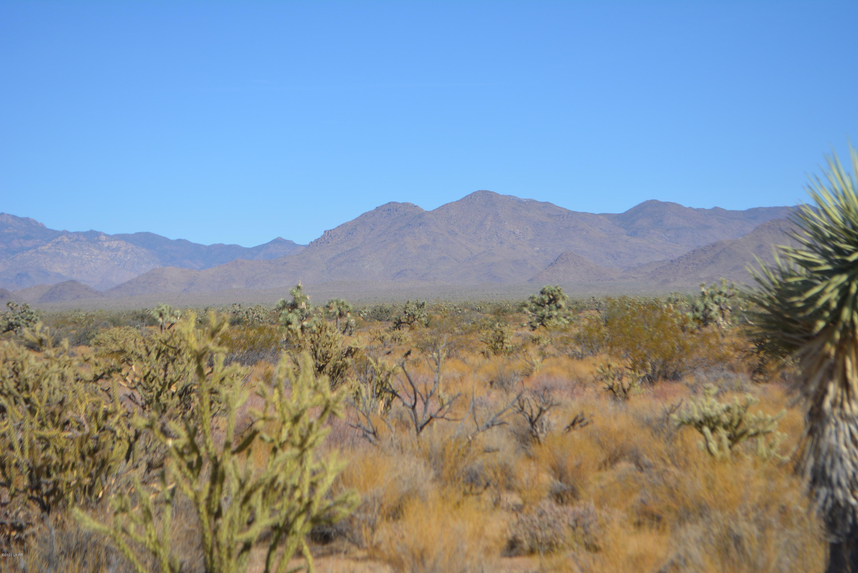 Lot 1026 Rimrock Road Yucca, AZ 86438 - Photo 4 of 35 DSC_0813