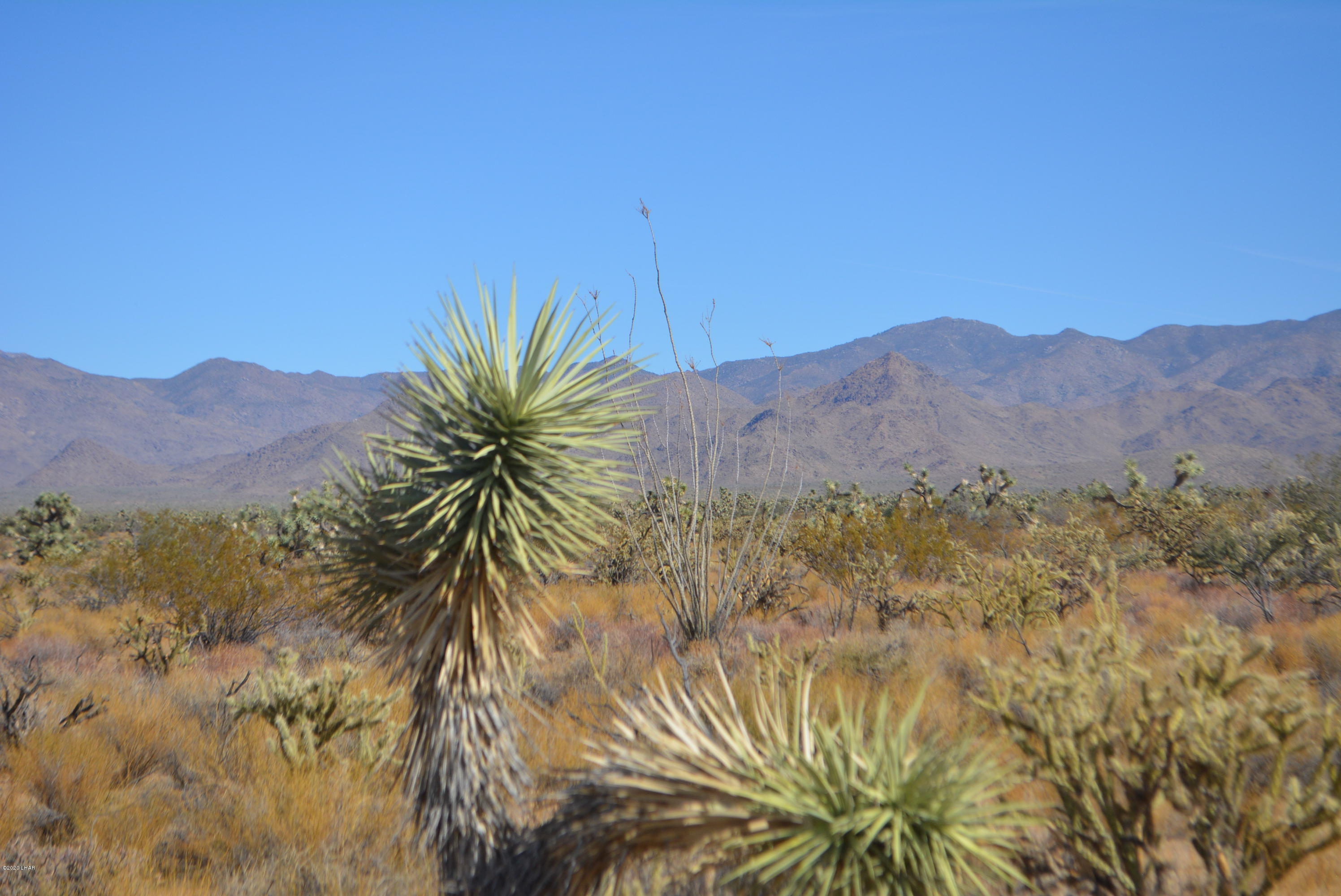 Lot 1026 Rimrock Road Yucca, AZ 86438 - Photo 5 of 35 DSC_0814